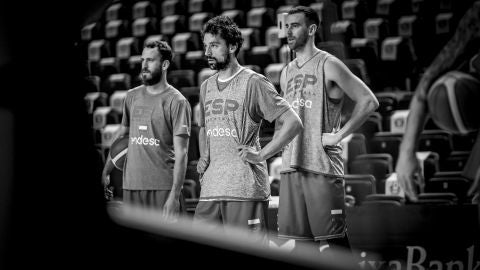 Sergio Llull