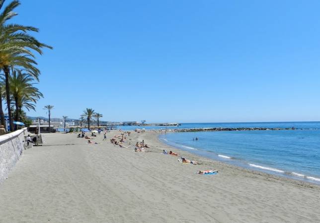 María Victoria Martín Lomeña: "Hemos retirado ocho contenedores de algas en Marbella" María Victoria Martín Lomeña: "Hemos retirado ocho contenedores de algas en Marbella"