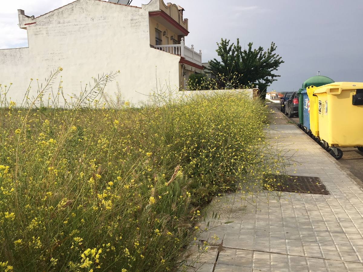 El Ayuntamiento de Ciudad Real sanciona a 45 solares por su mal estado El Ayuntamiento de Ciudad Real sanciona a 45 solares por su mal estado