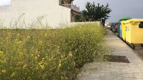 Un solar sin limpiar