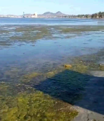 El juez Garrote amplia la causa por vertidos de salmuera al Mar Menor contra 43 empresas más El juez Garrote amplia la causa por vertidos de salmuera al Mar Menor contra 43 empresas más