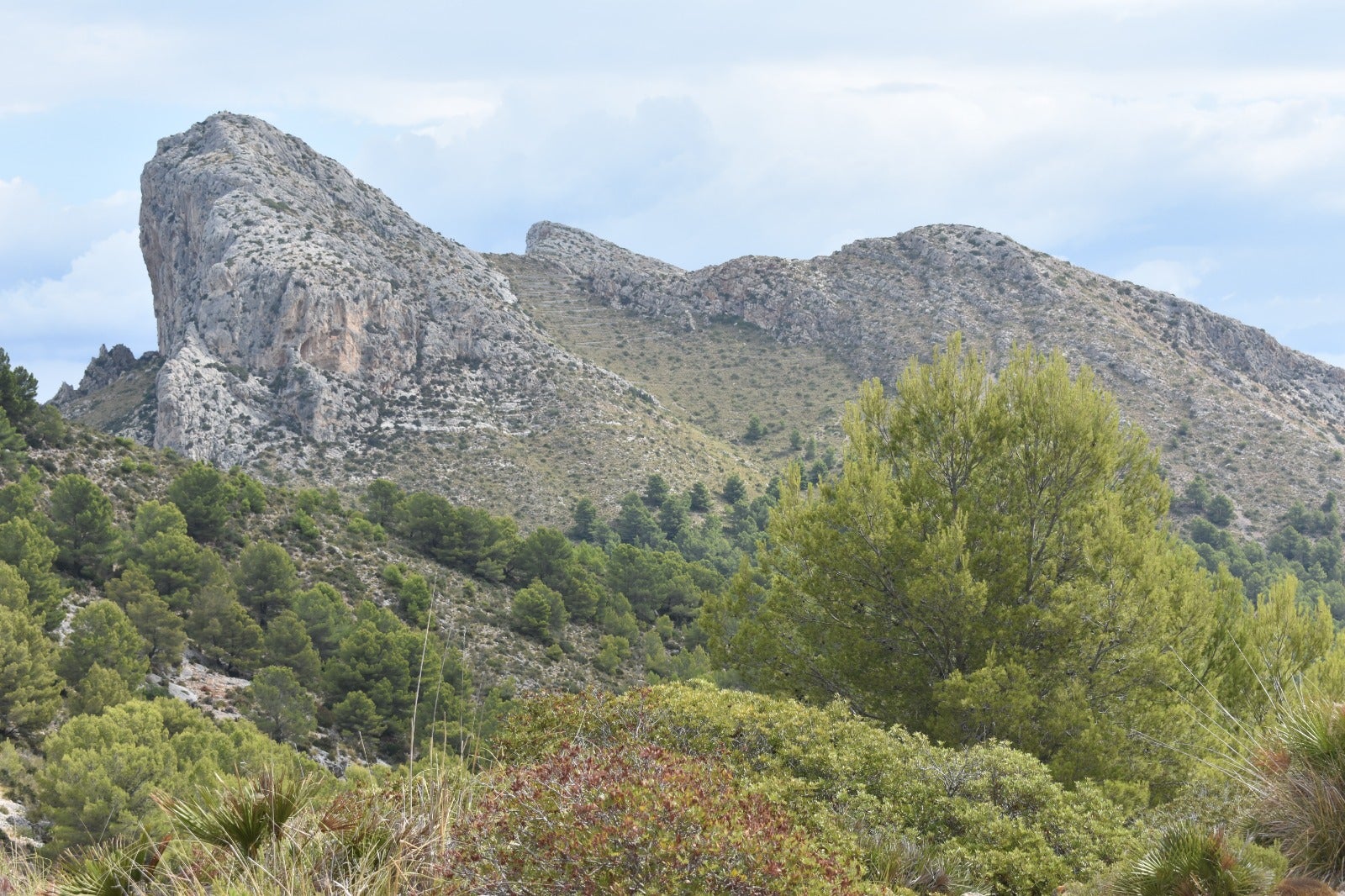 "Miquel Costa y Llobera universalizó Formentor" "Miquel Costa y Llobera universalizó Formentor"