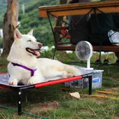 Hay que extremar los cuidados con las altas temperaturas Hay que extremar los cuidados con las altas temperaturas