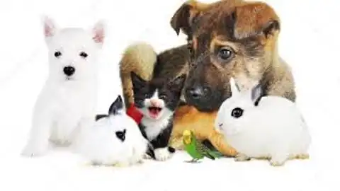 Más de Uno Córdoba Más de Uno Córdoba