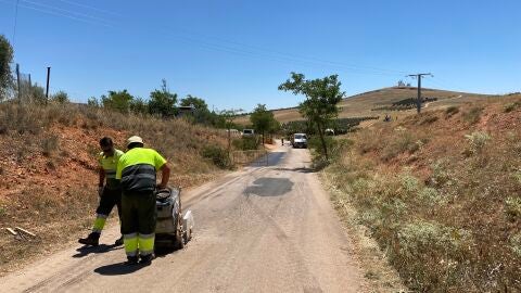 El Ayuntamiento de Alc&aacute;zar arregla el Camino de Santero