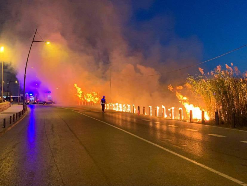 Un incendio calcina una zona de Ses Feixes en Ibiza Un incendio calcina una zona de Ses Feixes en Ibiza