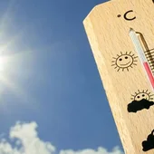 Los termómetros pasarán de los 40º este fin de semana Los termómetros pasarán de los 40º este fin de semana