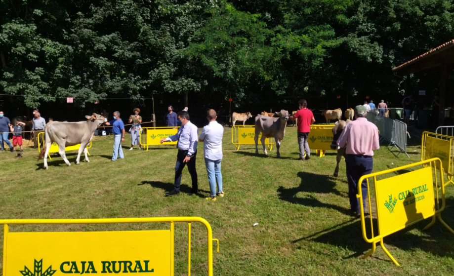 Parres fue la capital ganadera del fin de semana Parres fue la capital ganadera del fin de semana