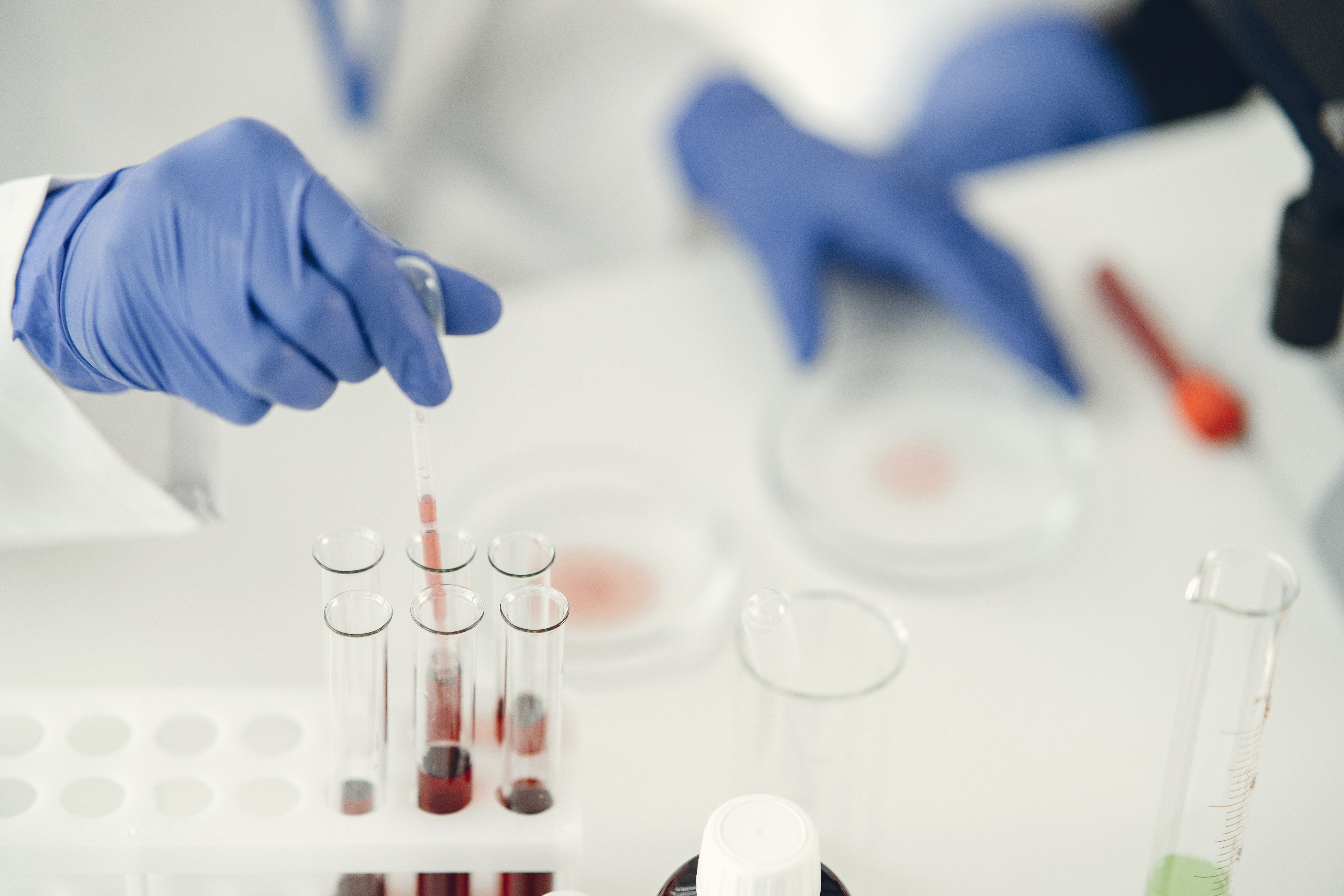 La historia de un virus La historia de un virus