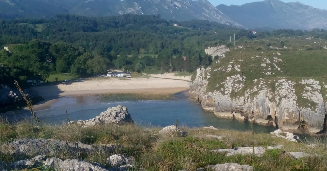 Llanes debate sobre el proyecto de una plantación de eucaliptos en Cuevas de Mar Llanes debate sobre el proyecto de una plantación de eucaliptos en Cuevas de Mar