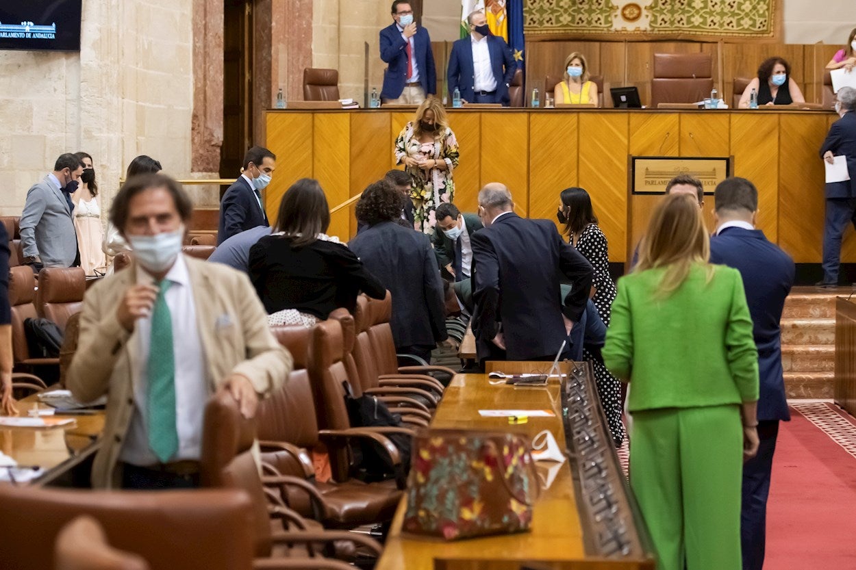 Una rata se cuela en el pleno del Parlamento andaluz mientras se votaba el paso de Susana Díaz a senadora Una rata se cuela en el pleno del Parlamento andaluz mientras se votaba el paso de Susana Díaz a senadora