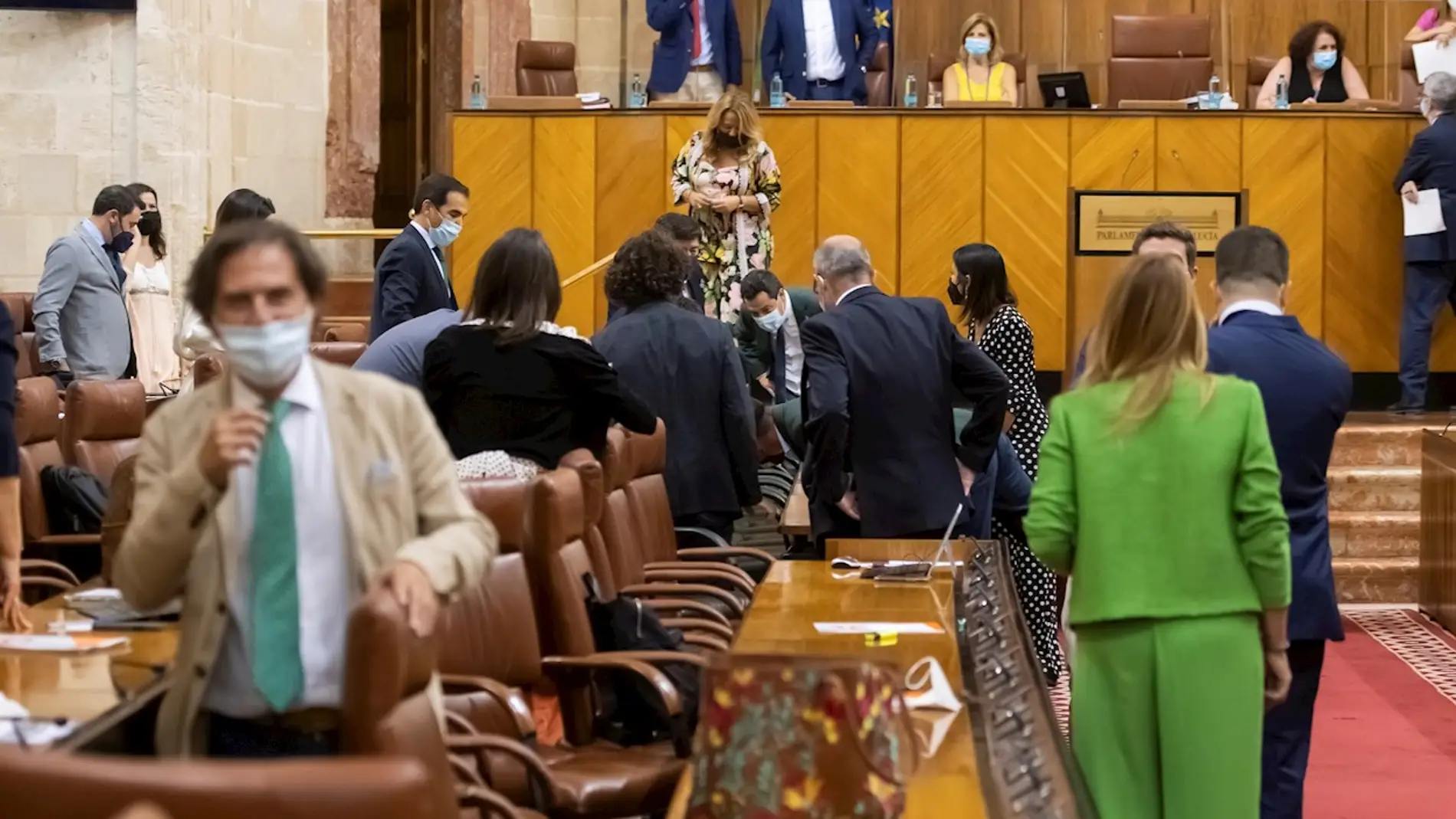 El presidente andaluz, Juanma Moreno (centro al fondo) y varios diputados buscando una rata que ha irrumpido este miércoles en el salón de plenos del Parlamento andaluz