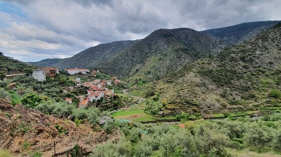 La ruta solidaria de Las Mestas lleva este año el nombre de Charo Cordero La ruta solidaria de Las Mestas lleva este año el nombre de Charo Cordero