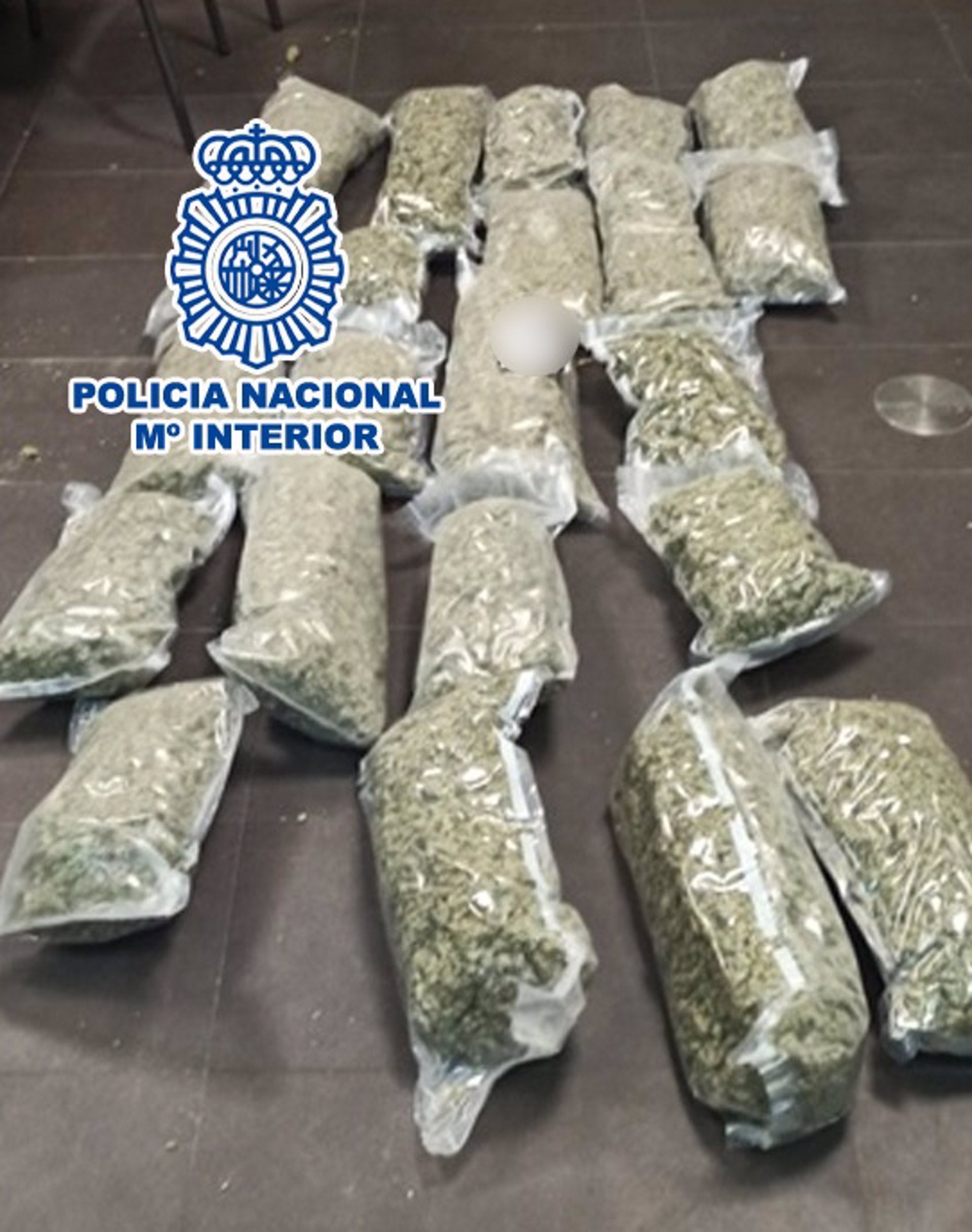 Cae un grupo criminal dedicado al tráfico de drogas que iba a enviar 25 kilos de marihuana a Holanda Cae un grupo criminal dedicado al tráfico de drogas que iba a enviar 25 kilos de marihuana a Holanda