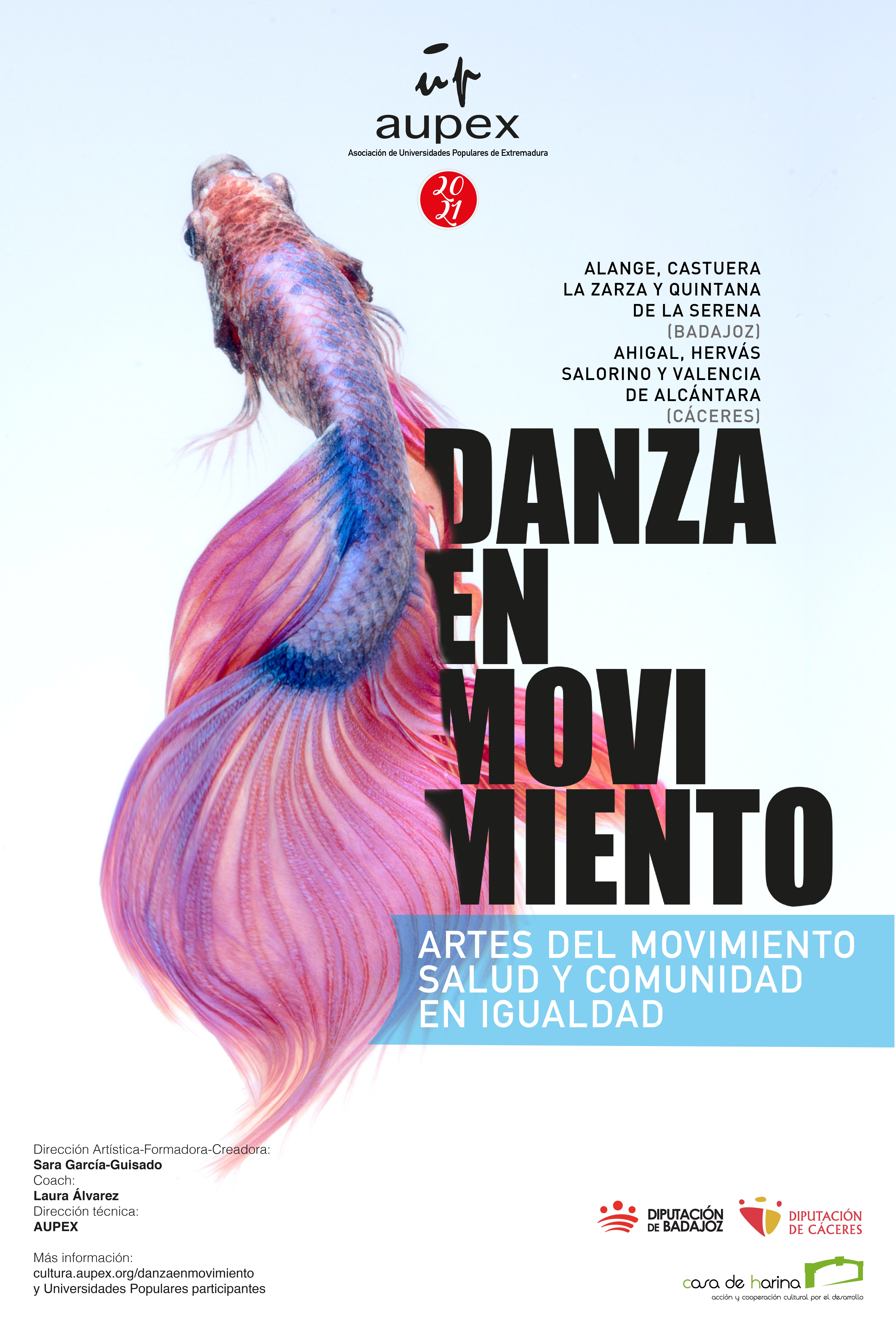 Nueva edición de `Danza en Movimiento´ Nueva edición de `Danza en Movimiento´