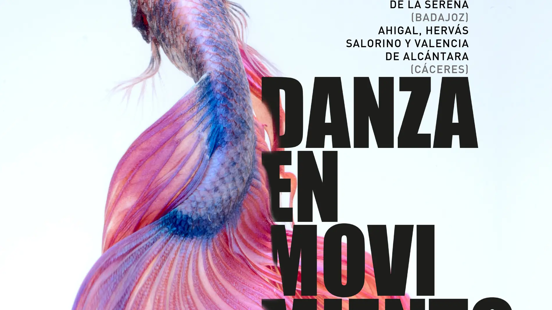 Nueva edición de `Danza en Movimiento´