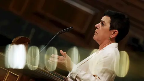Portavoz de EH Bildu en el Congreso Portavoz de EH Bildu en el Congreso