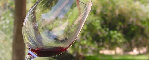 La Ruta del Vi de Lleida, un viatge de contrastos que posa en valor la qualitat del vi i del territori La Ruta del Vi de Lleida, un viatge de contrastos que posa en valor la qualitat del vi i del territori