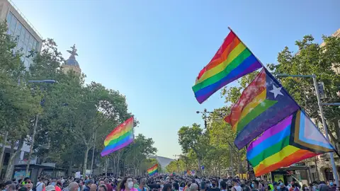 Clamor contra la LGTBIfòbia a Barcelona Clamor contra la LGTBIfòbia a Barcelona