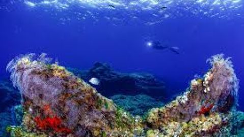 Buceo regi&oacute;n de Murcia