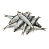 Sardinas On Egin Sardinas On Egin