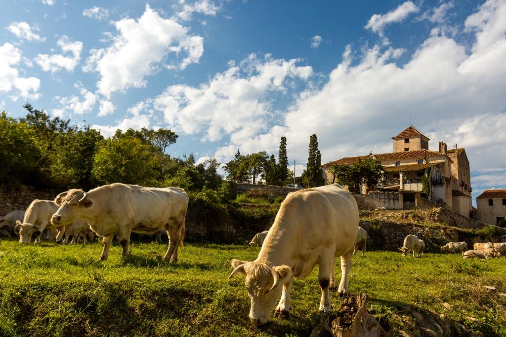 Maestrat Ànima Interior prepara planes para toda la familia durante el puente de noviembre Maestrat Ànima Interior prepara planes para toda la familia durante el puente de noviembre