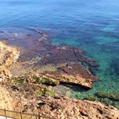El Instituto de Ecología Litoral destaca la calidad ambiental de las aguas del litoral de Orihuela El Instituto de Ecología Litoral destaca la calidad ambiental de las aguas del litoral de Orihuela