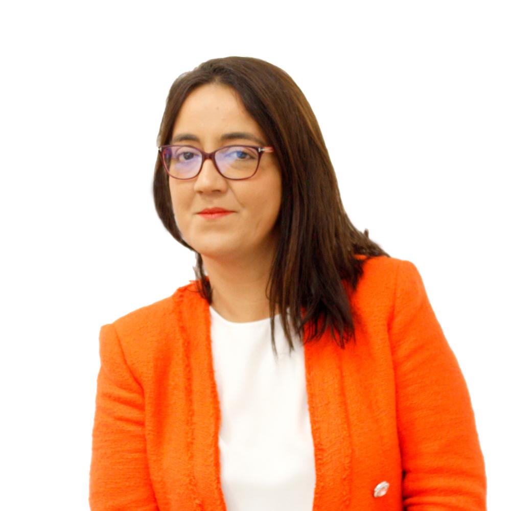 "La gran cantidad de peticiones es un testimonio del éxito del nuevo modelo" "La gran cantidad de peticiones es un testimonio del éxito del nuevo modelo"