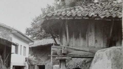 Are&ntilde;es reivindica sus h&oacute;rreos