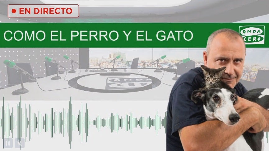 La emisión desde Elche de ‘Como el perro y el gato’, la guinda de la I Fiesta de la Mascota La emisión desde Elche de ‘Como el perro y el gato’, la guinda de la I Fiesta de la Mascota