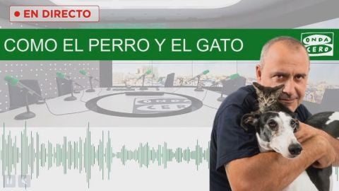 Como el perro y el gato 