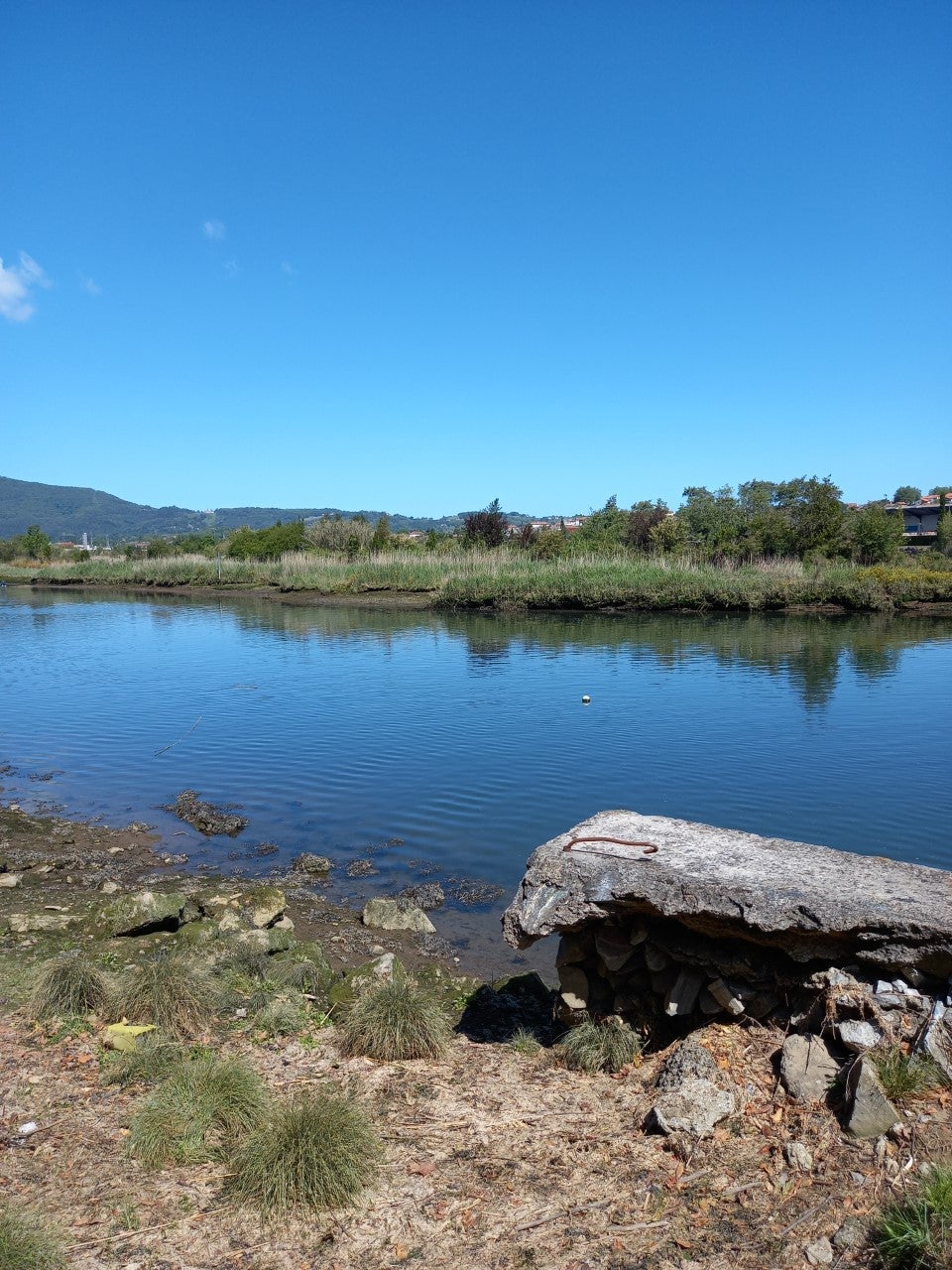 La red de acogida de migrantes de Euskadi ha atendido en lo que va de año a 4.100 personas La red de acogida de migrantes de Euskadi ha atendido en lo que va de año a 4.100 personas