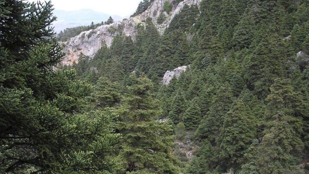 El Parque Nacional de la Sierra de las Nieves dispara la demanda de turismo de interior en la zona El Parque Nacional de la Sierra de las Nieves dispara la demanda de turismo de interior en la zona