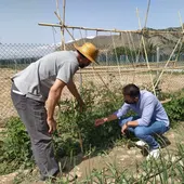 La Diputación de Alicante concede dos subvenciones para los Huertos Urbanos de Orihuela La Diputación de Alicante concede dos subvenciones para los Huertos Urbanos de Orihuela