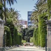 El Parque Genovés de Cádiz en una foto de archivo El Parque Genovés de Cádiz en una foto de archivo