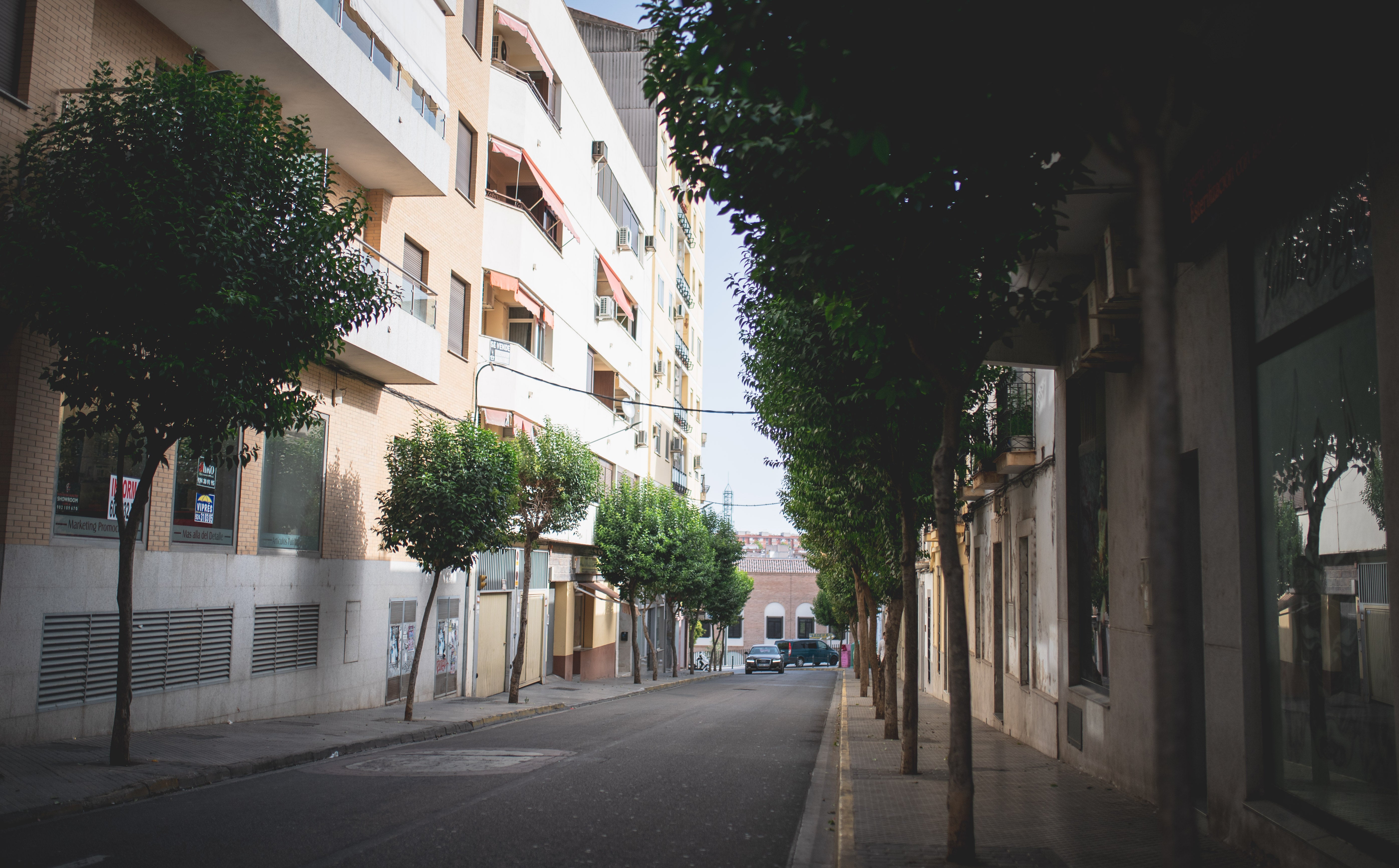 Obras de mejoras y asfaltado en la calle Cardero Obras de mejoras y asfaltado en la calle Cardero