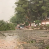 Daños ocasionados por la tormenta en Alcázar de San Juan Daños ocasionados por la tormenta en Alcázar de San Juan