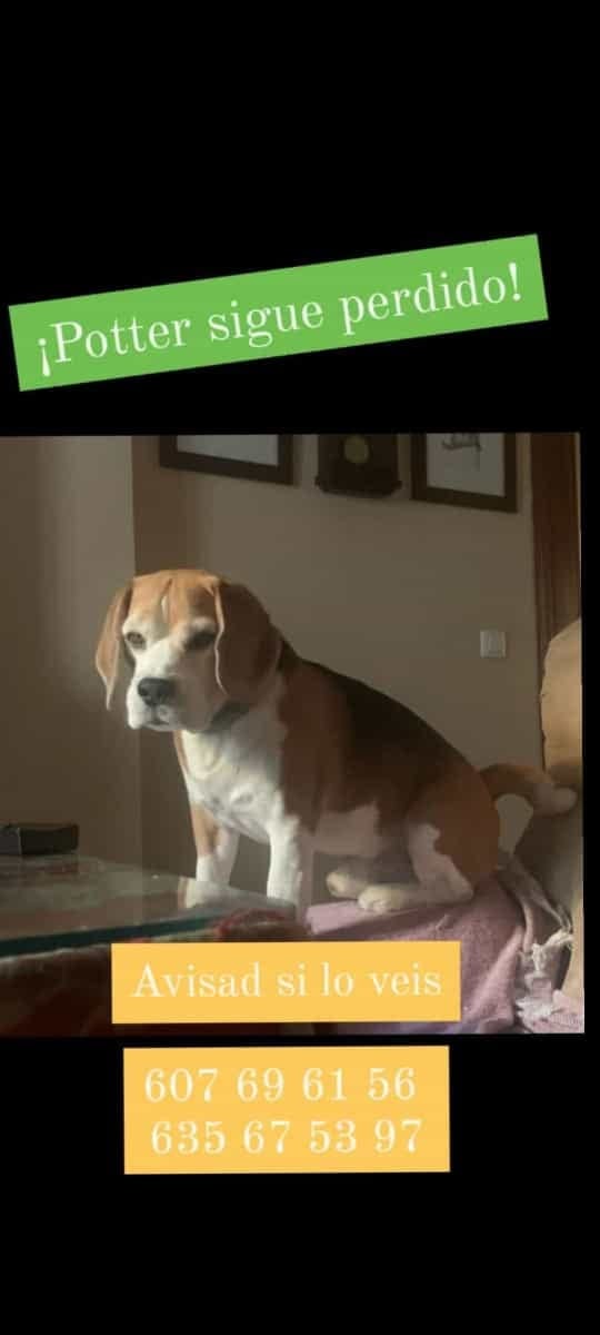 Más de Uno Ceuta 08/09/21 Más de Uno Ceuta 08/09/21