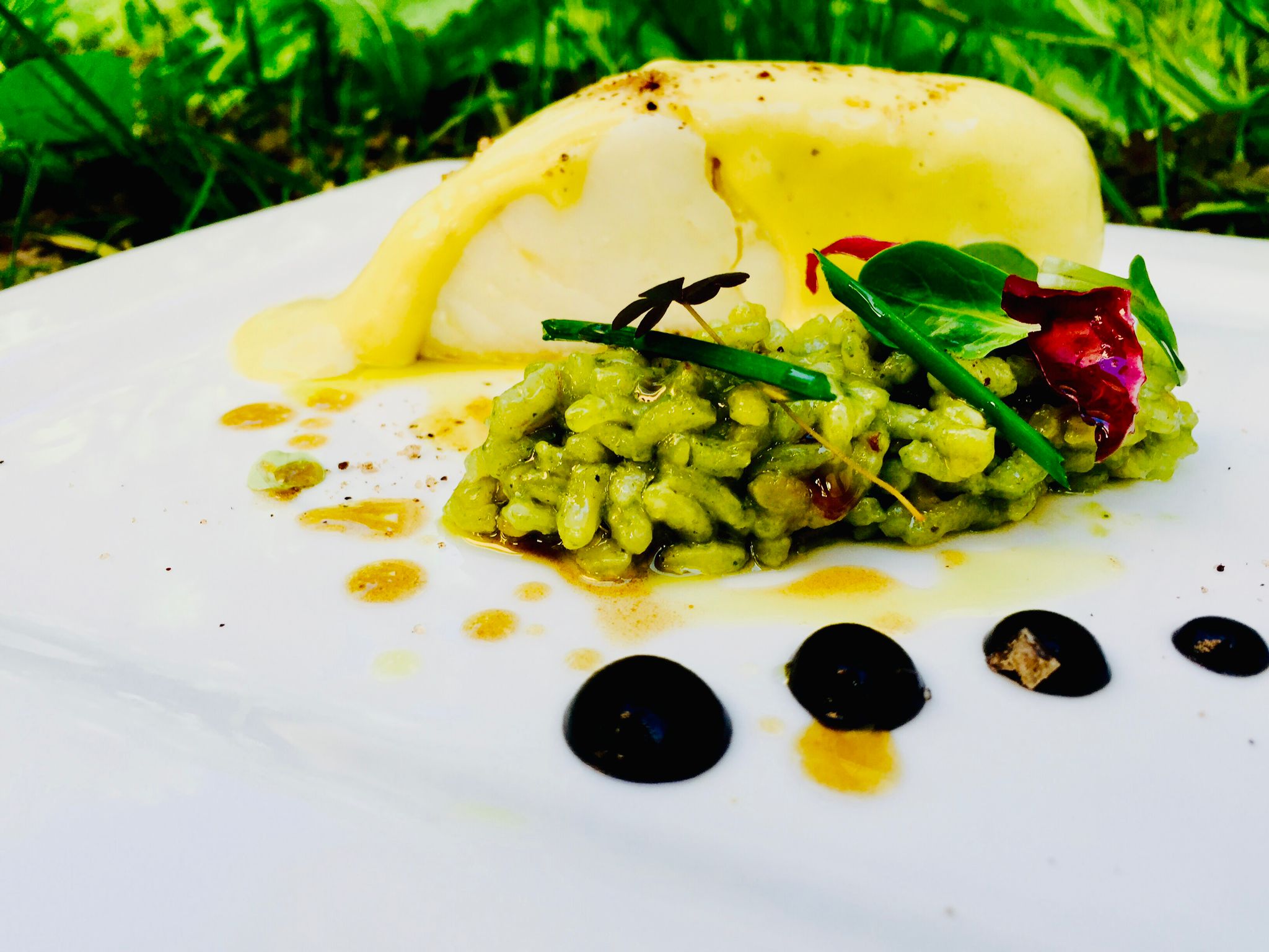 Bacalao con emulsión de aceite de oliva y arroz con plancton marino Bacalao con emulsión de aceite de oliva y arroz con plancton marino