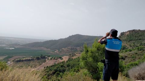 sagunto incendios 