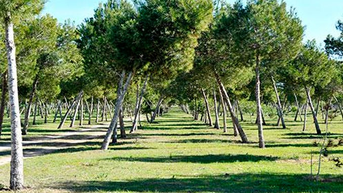 Presentada una moción para denominar el parque Lo Albentosa como área recreativa "José Eduardo Gil Rebollo" Presentada una moción para denominar el parque Lo Albentosa como área recreativa "José Eduardo Gil Rebollo"