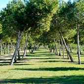 Presentada una moción para denominar el parque Lo Albentosa como área recreativa "José Eduardo Gil Rebollo" Presentada una moción para denominar el parque Lo Albentosa como área recreativa "José Eduardo Gil Rebollo"