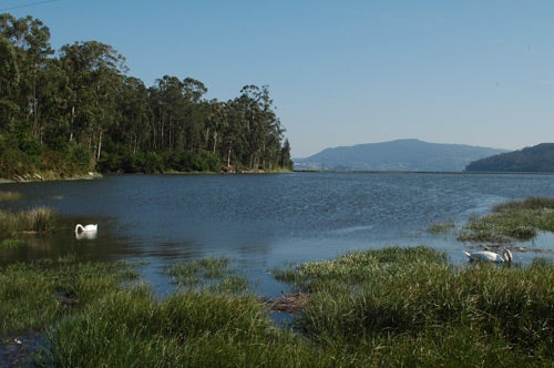 Por qué Vilaboa es boa vila: un recorrido a pie de ría Por qué Vilaboa es boa vila: un recorrido a pie de ría