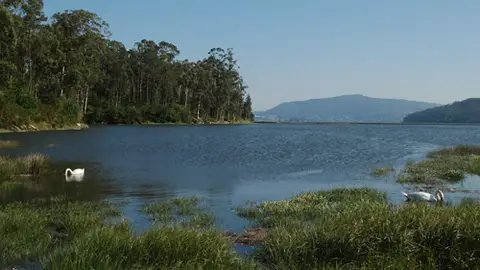 Concello de Vilaboa Mas de Uno Pontevedra