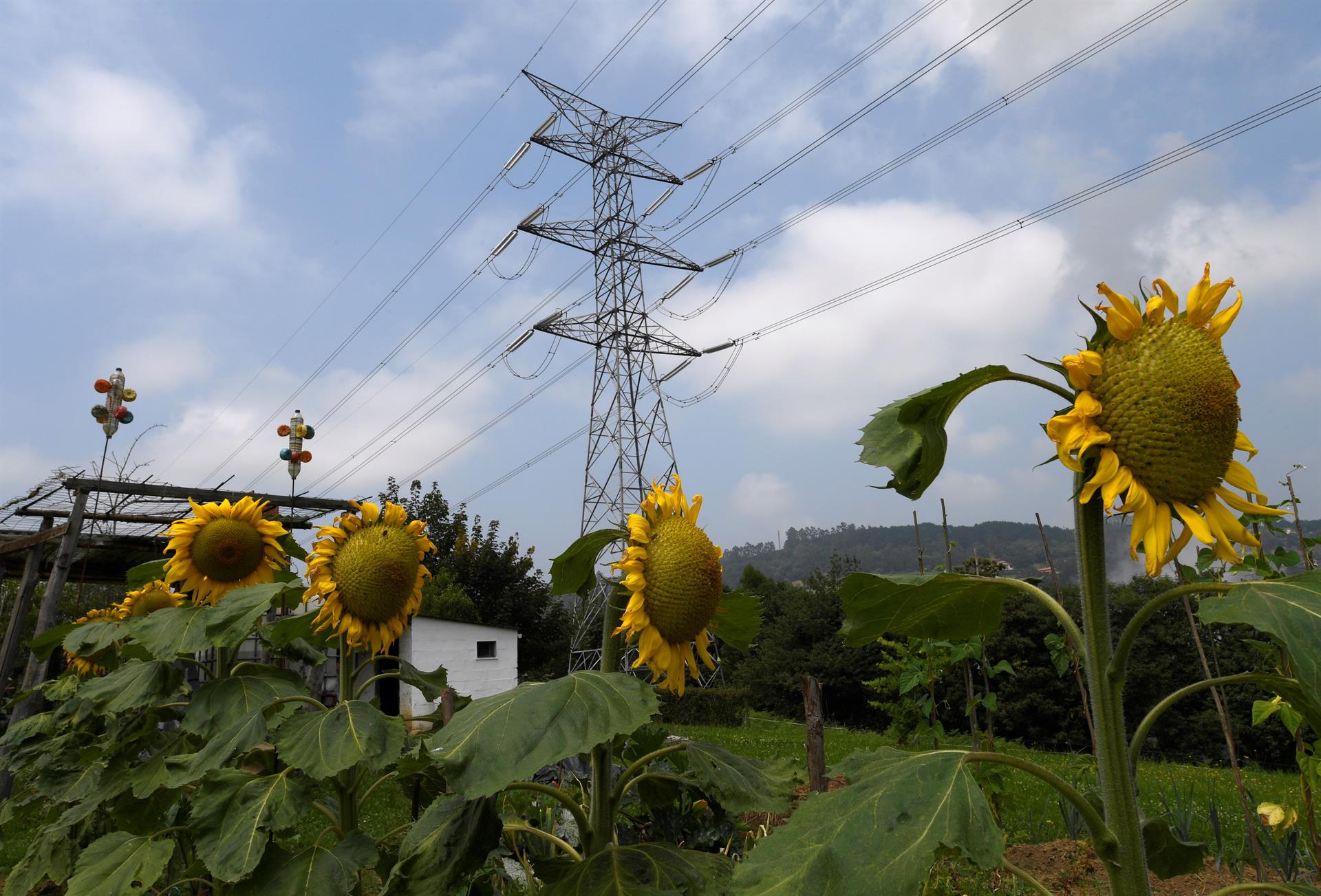 El precio de la luz vuelve a bajar tras los máximos consecutivos de esta semana El precio de la luz vuelve a bajar tras los máximos consecutivos de esta semana