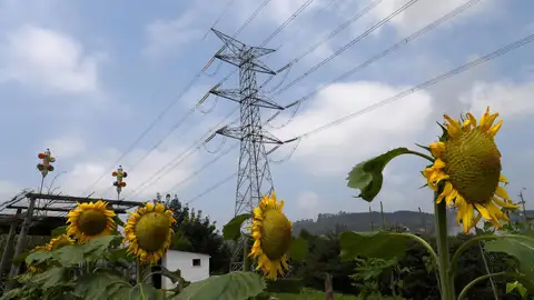 El precio de la luz vuelve a bajar tras los máximos consecutivos de esta semana El precio de la luz vuelve a bajar tras los máximos consecutivos de esta semana