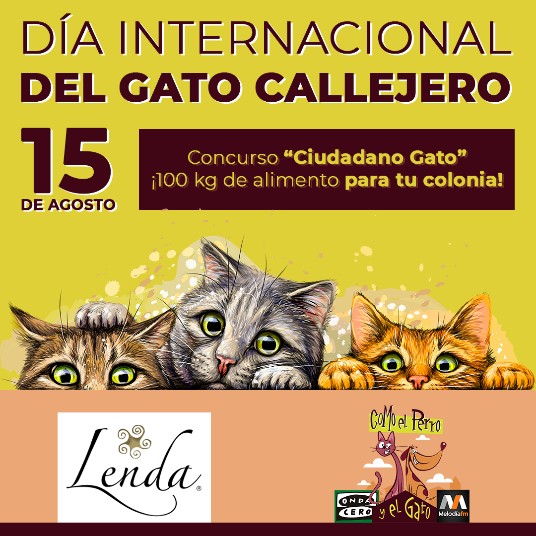 'Ciudadano Gato', un concurso para gestores de colonias felinas con el que ganar hasta 100 kg de alimento para tus callejeritos 'Ciudadano Gato', un concurso para gestores de colonias felinas con el que ganar hasta 100 kg de alimento para tus callejeritos