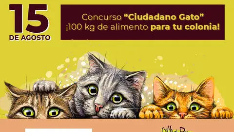 Concurso Ciudadano Gato Concurso Ciudadano Gato
