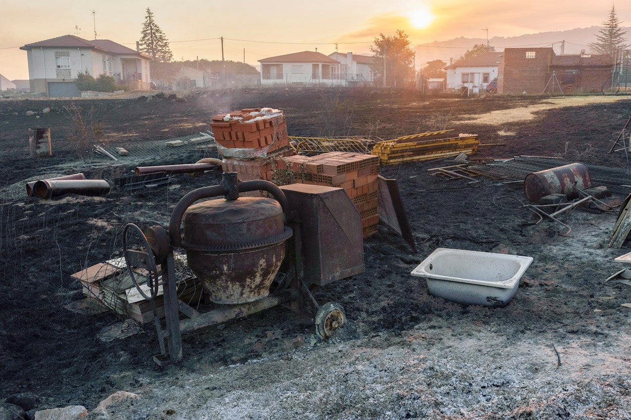 Las consecuencias del incendio de Ávila en los animales Las consecuencias del incendio de Ávila en los animales