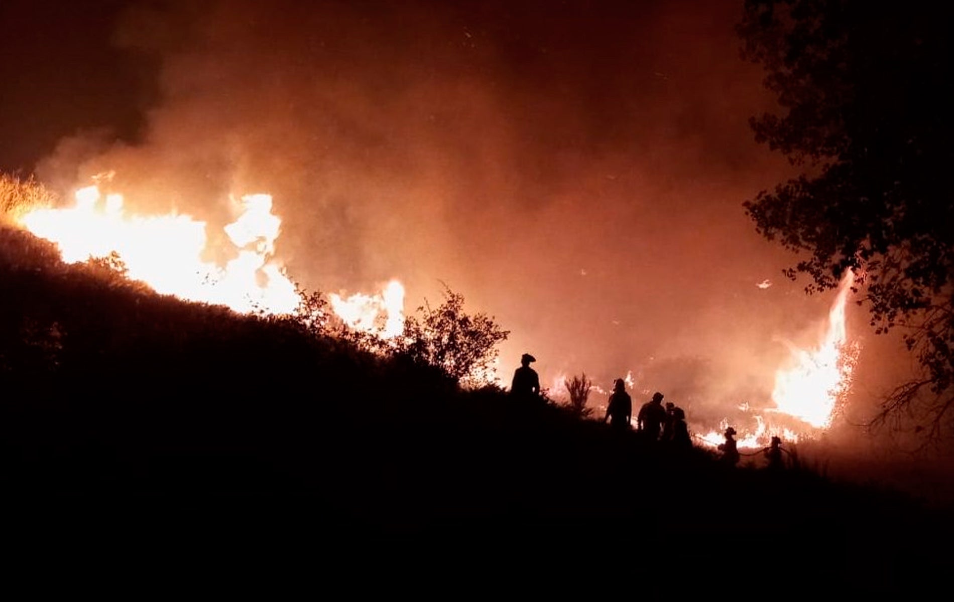 El incendio de Ávila sigue fuera de control y ya ha arrasado unas 10.000 hectáreas El incendio de Ávila sigue fuera de control y ya ha arrasado unas 10.000 hectáreas